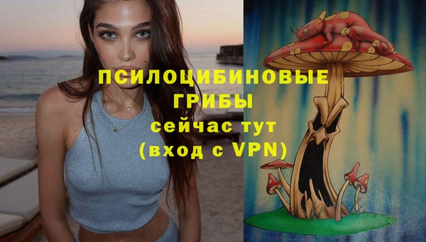 синтетический гашиш Липки