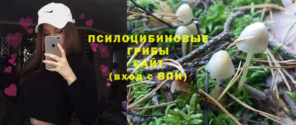 бутират Ладушкин